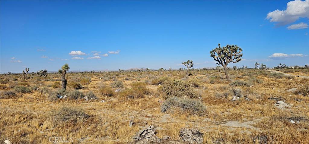 Palmdale, CA 93552,0 70th ST E