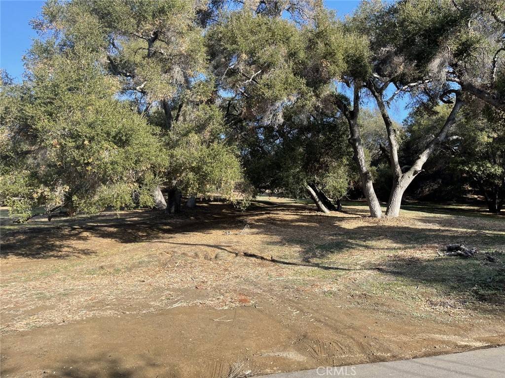 Calabasas, CA 91302,0 Malibu Medaows
