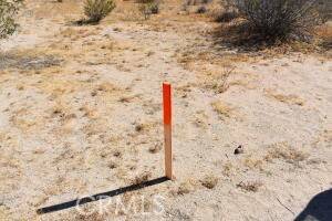 Lancaster, CA 93535,23300 Avenue D8/233 Ste