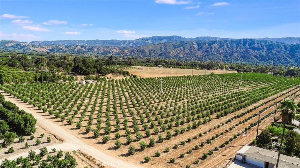 Ojai, CA 93023,1215 Grand AVE