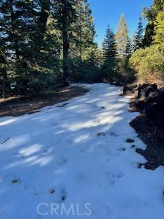 Nevada City, CA 95959,11041 Last Chance Mine RD