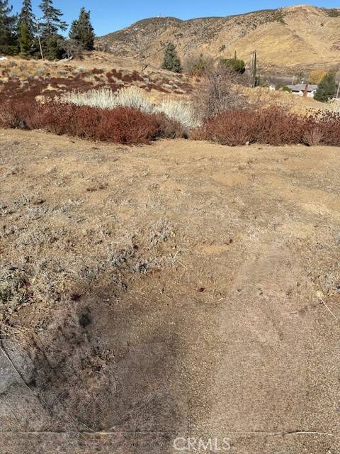 Lancaster, CA 93536,0 MOHICAN DR VIC LESINA DR