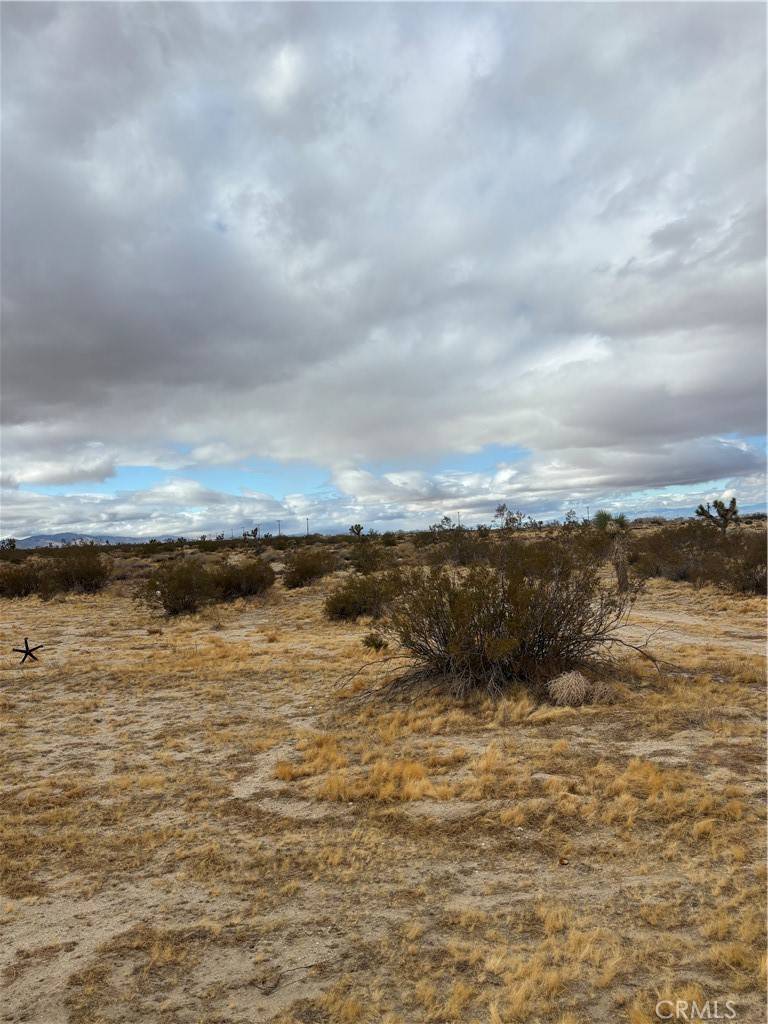 Palmdale, CA 93591,165 E Avenue S9