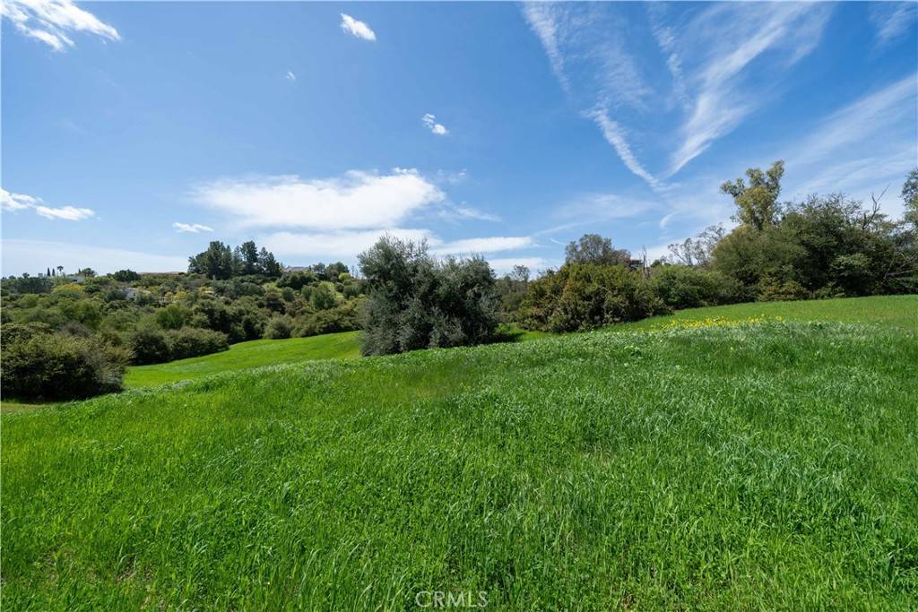 Calabasas, CA 91302,24415 Mulholland HWY