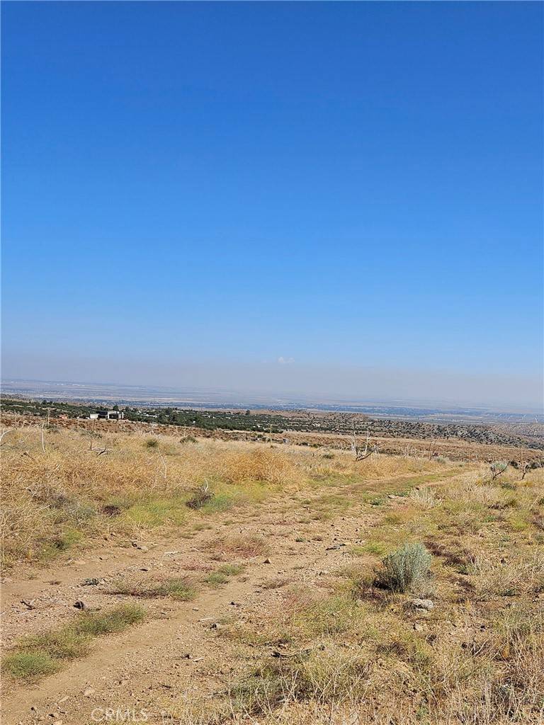 Juniper Hills, CA 93543,118 E Avenue S