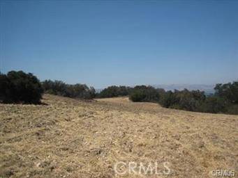 Calabasas, CA 91302,22800 Mulholland
