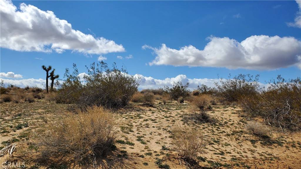 Mojave, CA 93501,0 Reed Ave