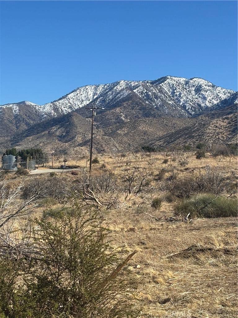 Littlerock, CA 93543,0 Honeybee LN