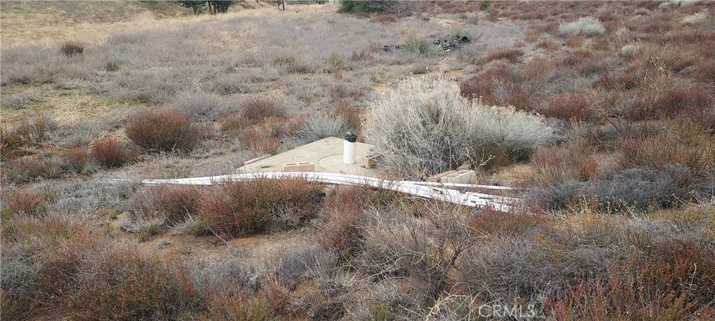 Leona Valley, CA 93551,38351 Bouquet Canyon Road