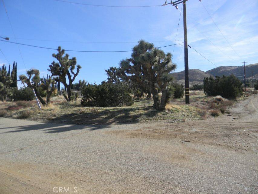 Palmdale, CA 93551,0 Oliver LN