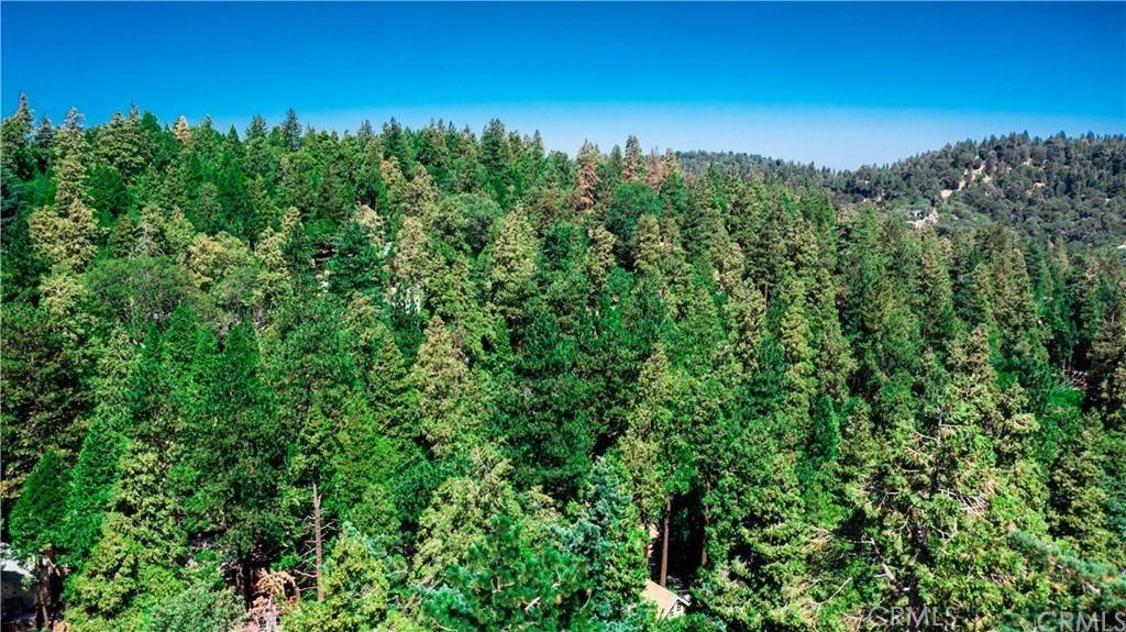 Crestline, CA 92325,23624 Scenic DR