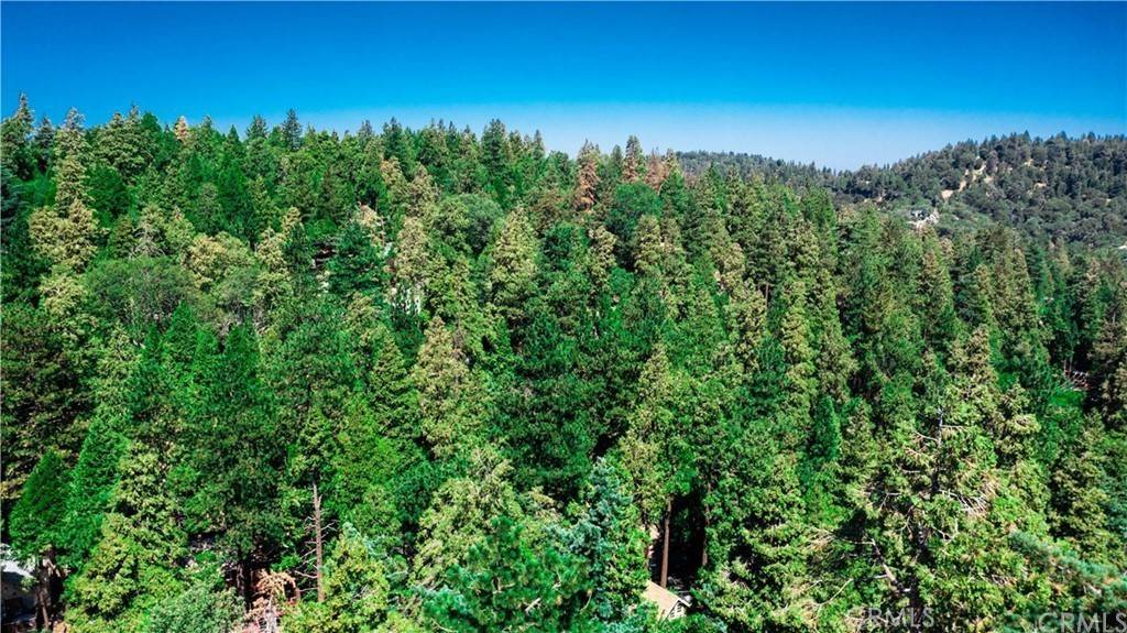 Crestline, CA 92325,23624 Scenic DR