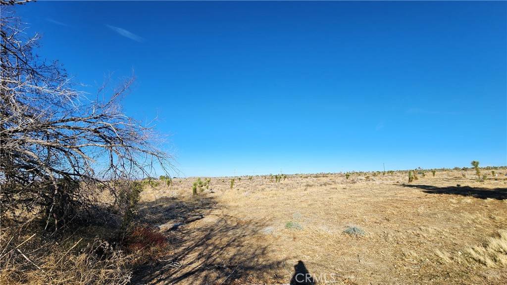 Llano, CA 93544,0 Crystalaire DR