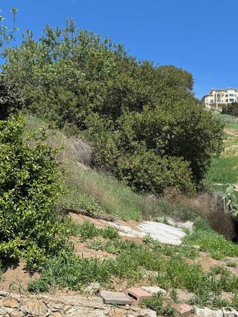 Cypress Park, CA 90065,1 Maceo ST