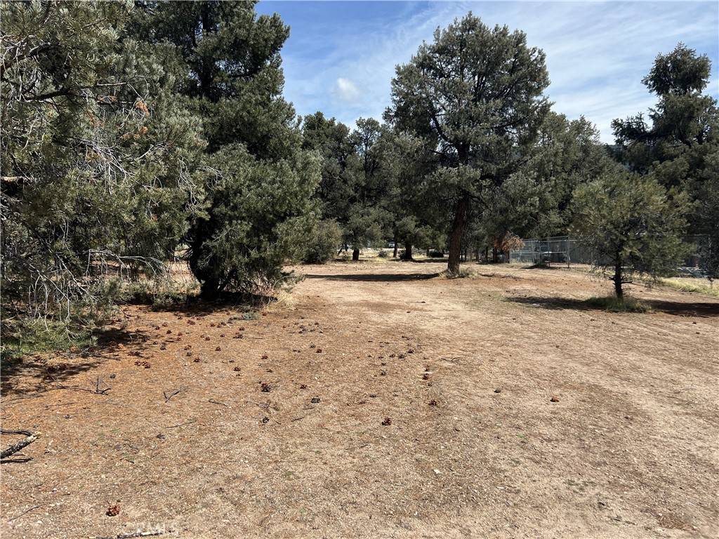 Frazier Park, CA 93225,0 East Windy Trail