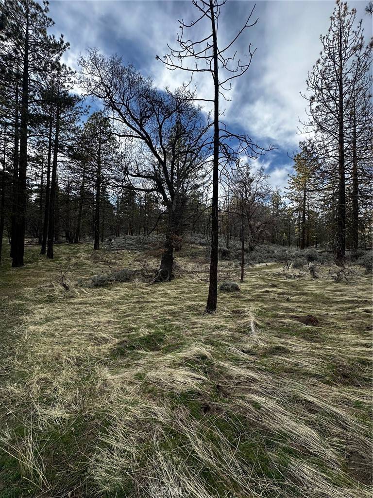 Tehachapi, CA 93561,25641 Paramount