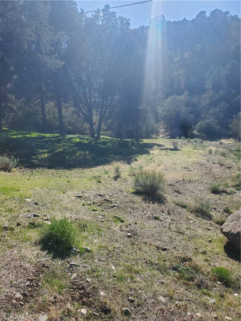 Frazier Park, CA 93225,237 Pine Canyon DR
