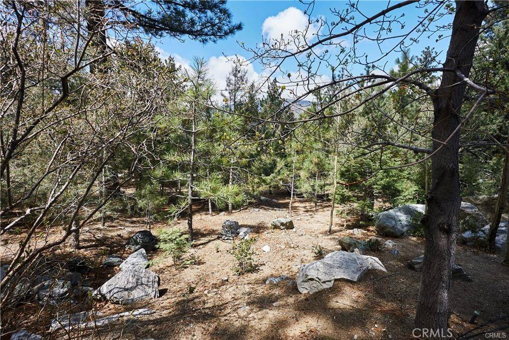 Pine Mountain Club, CA 93222,1700 Linden DR