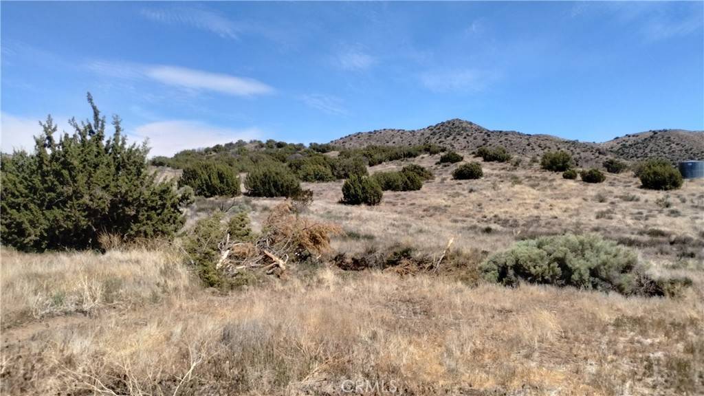 Acton, CA 93510,0 Wisconsin ST