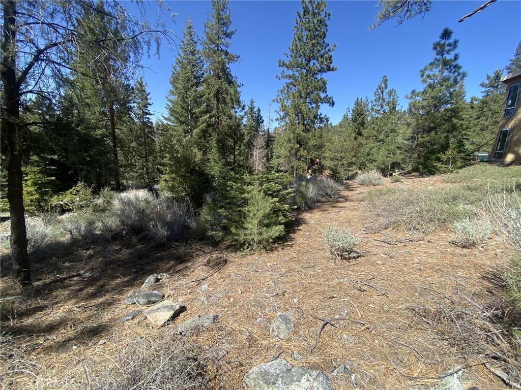 Pine Mountain Club, CA 93222,15028 Chestnut CT