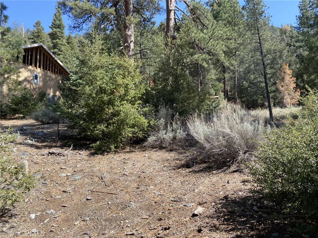 Pine Mountain Club, CA 93222,15028 Chestnut CT