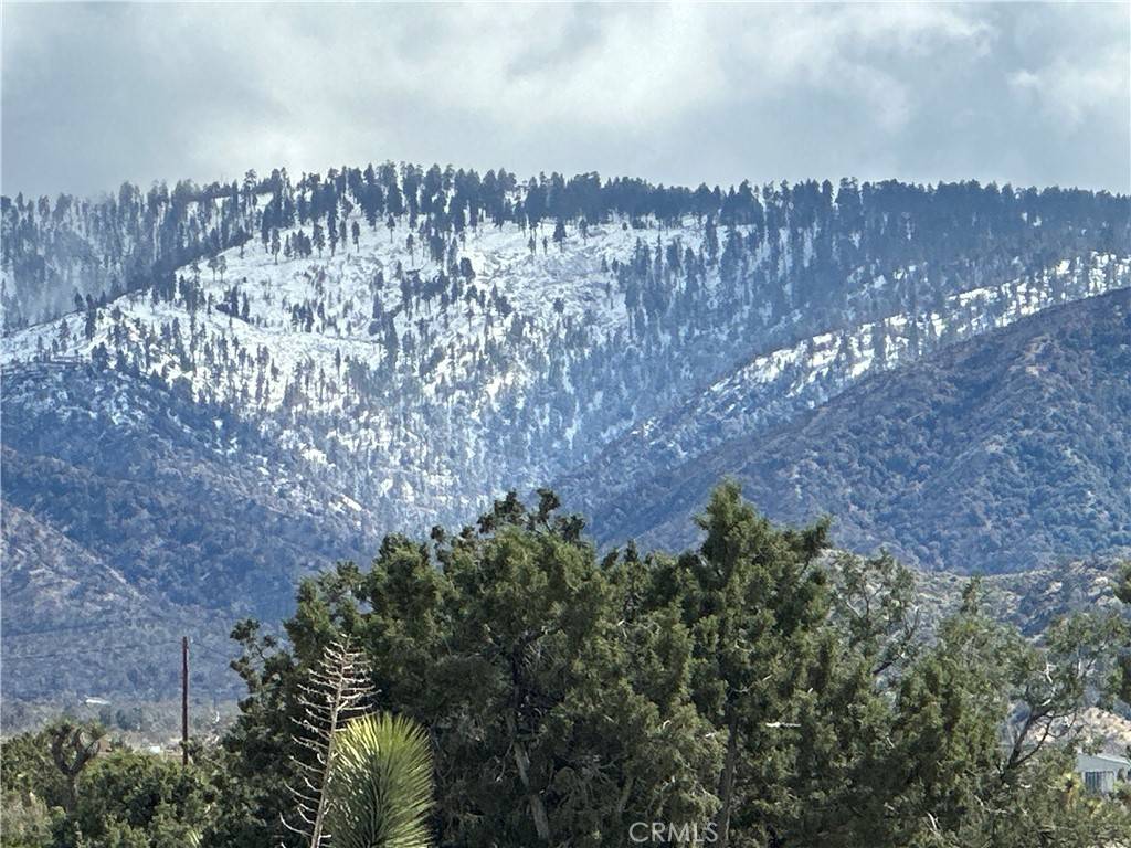 Llano, CA 93544,0 263rd ST E
