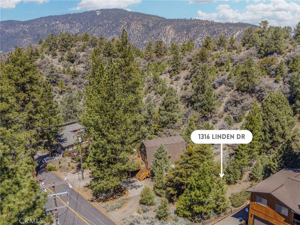 Pine Mountain Club, CA 93222,1316 Linden DR