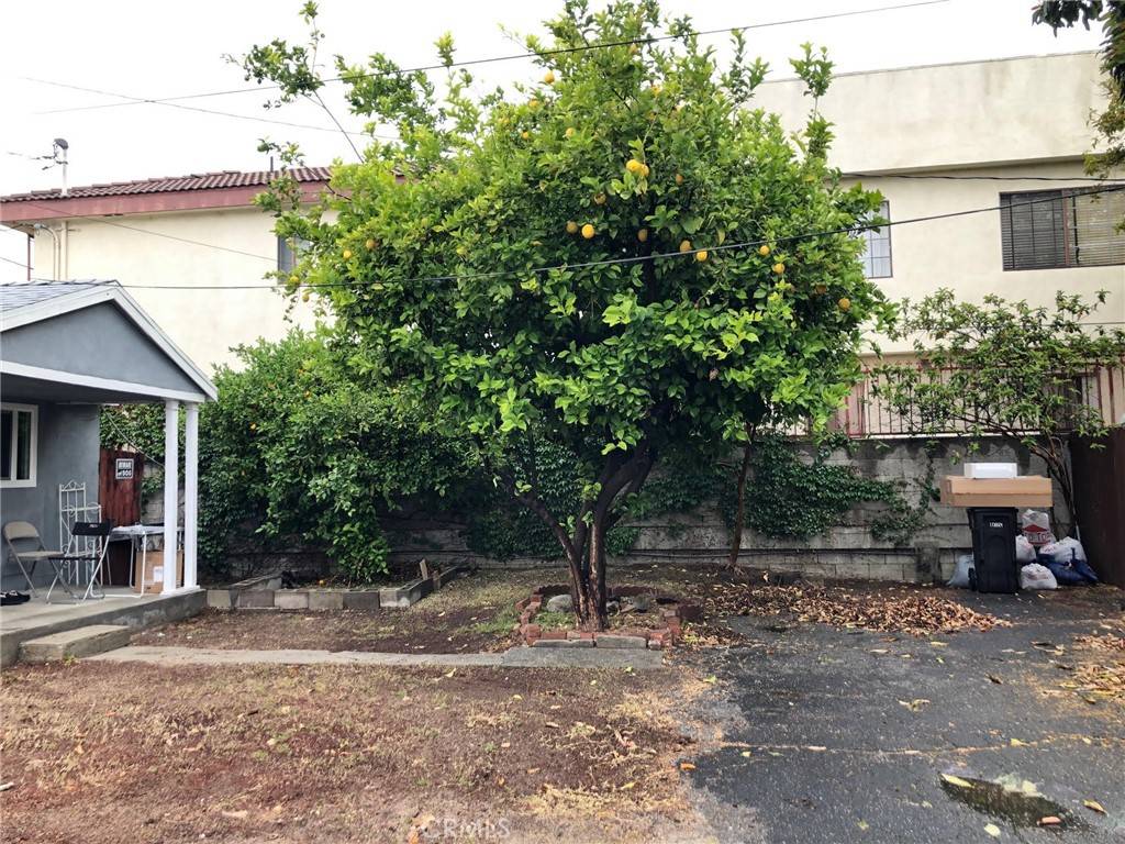 Burbank, CA 91502,167 W Ash AVE