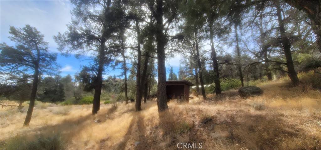 Frazier Park, CA 93225,32897 Seymour Canyon RD