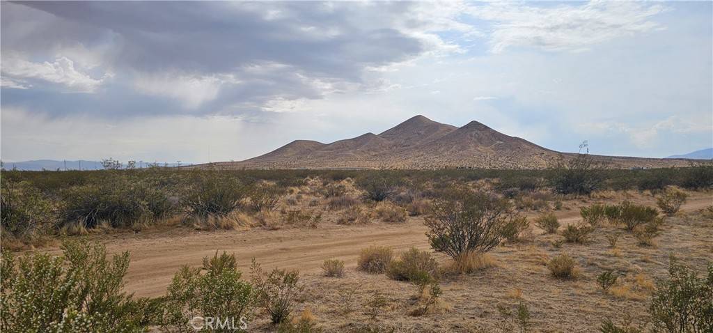 Rosamond, CA 93560,0 67th Street West