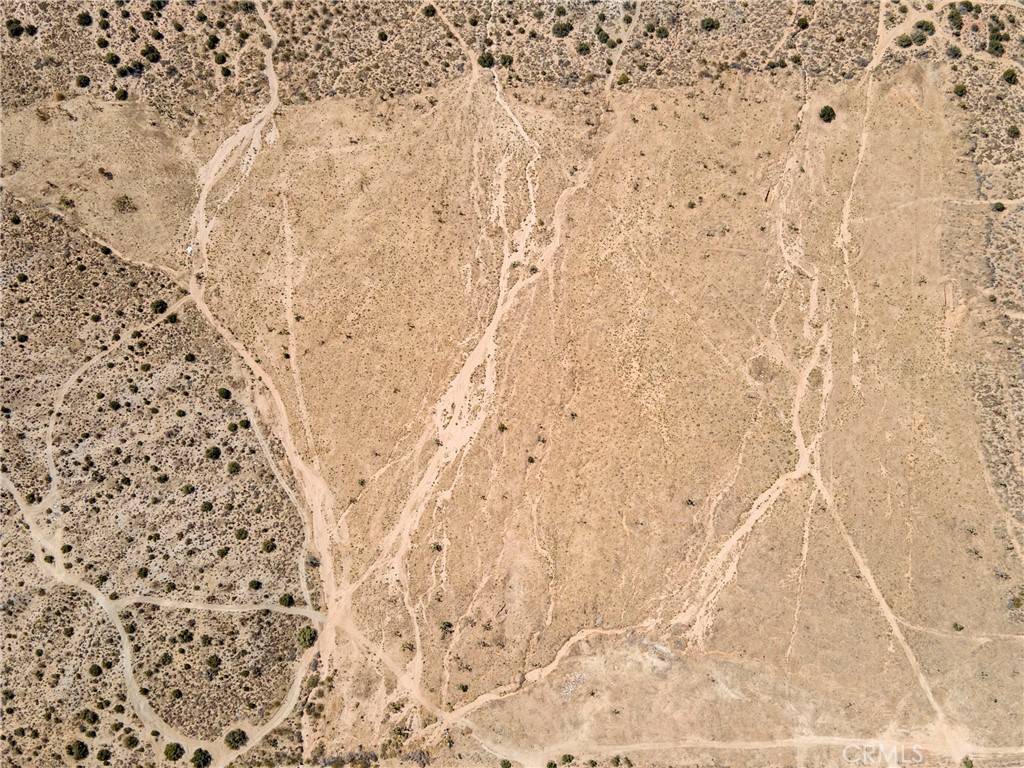 Palmdale, CA 93550,82 Mt Emma RD