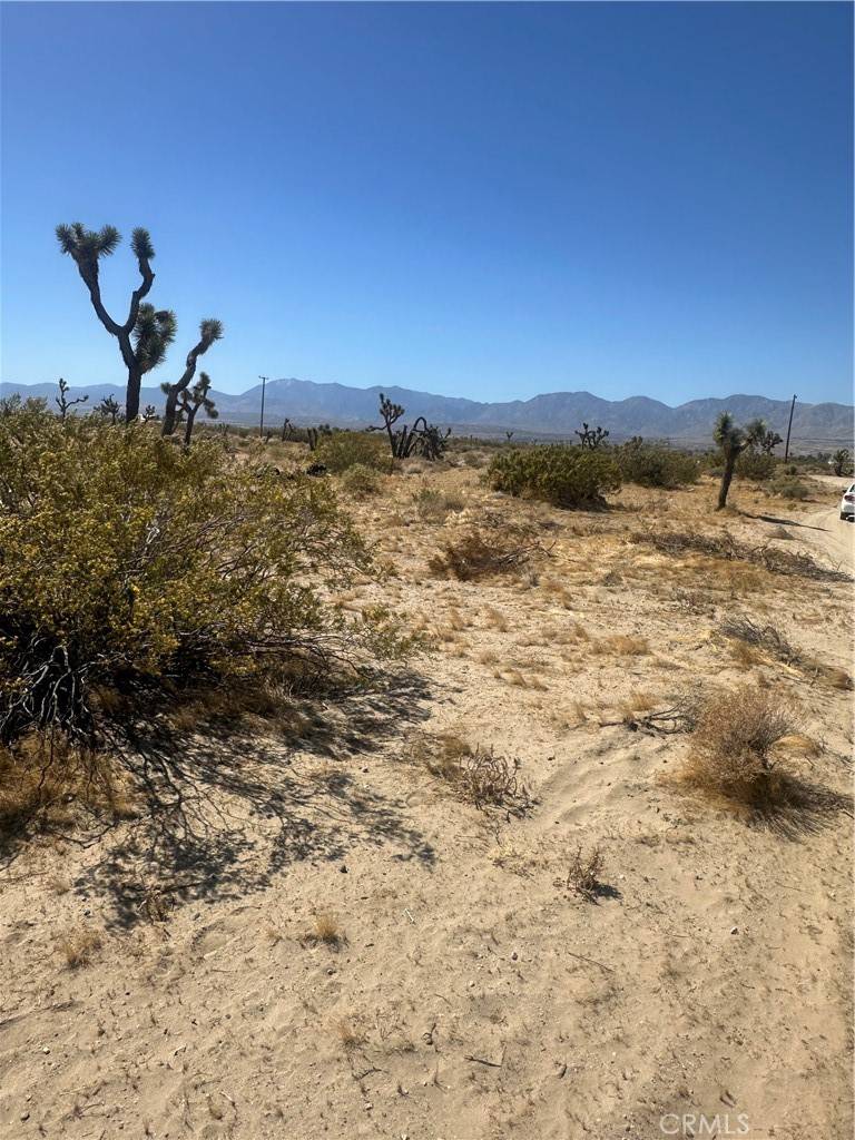 Sun Village, CA 93543,10 east ave S