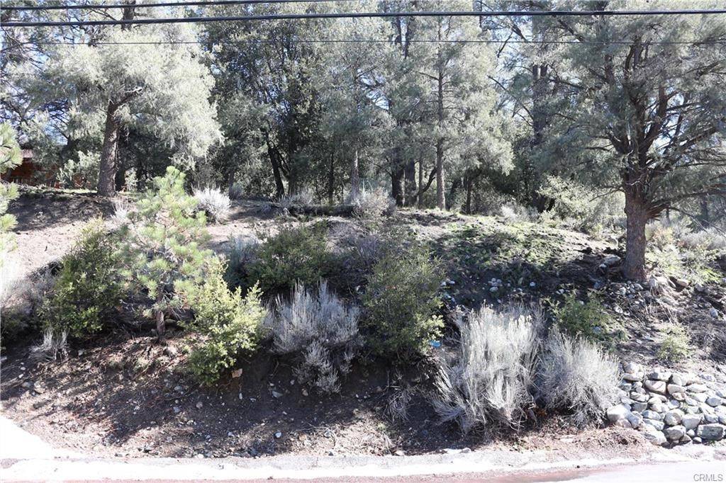 Pine Mountain Club, CA 93225,2216 Woodland DR