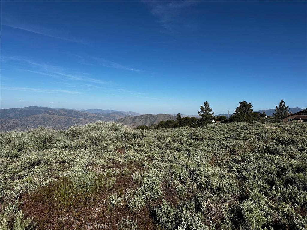 Tehachapi, CA 93561,25840 Remington CT