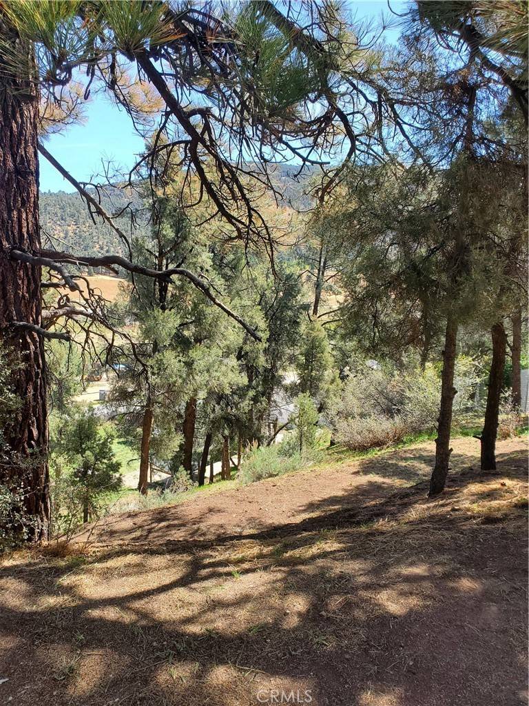 Frazier Park, CA 93225,1400 Pinetree DR