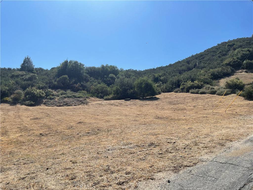 Lake Hughes, CA 93532,0 Noblett Drive  VIC Elderberr