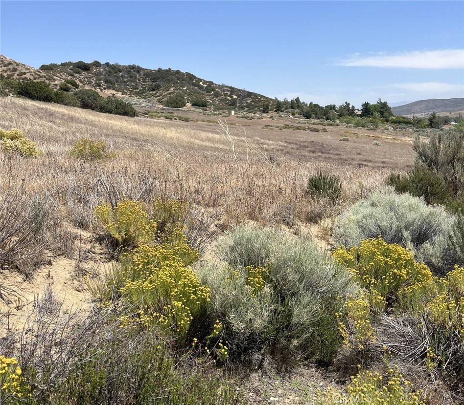 Palmdale, CA 93551,8201 Elizabeth Lake RD