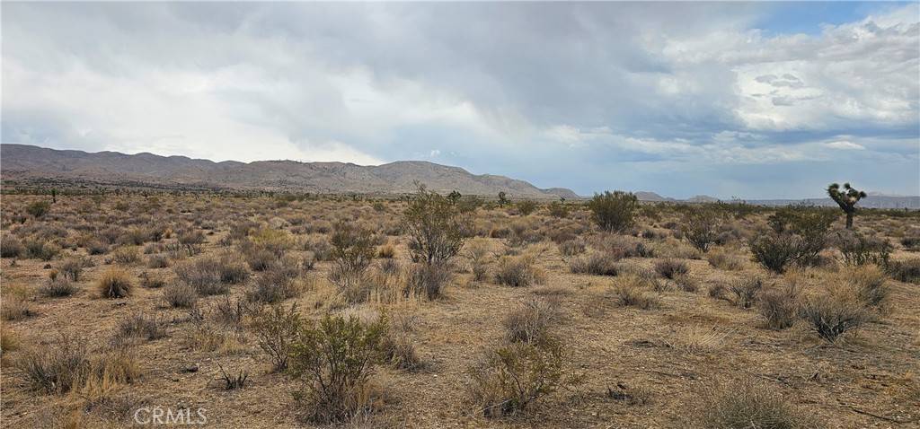 Rosamond, CA 93505,0 116th ST W