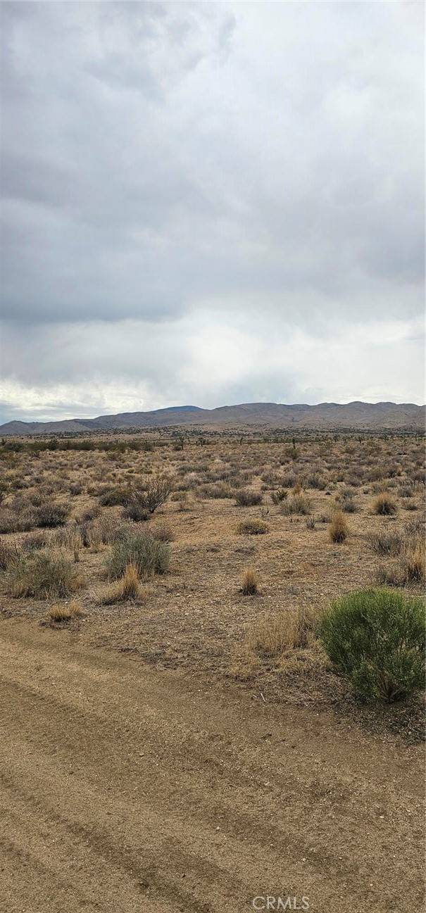 Rosamond, CA 93505,0 116th ST W