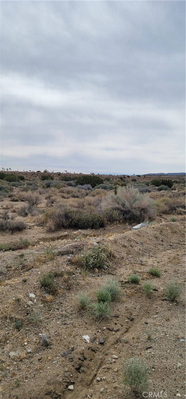 Llano, CA 93544,0 Avenue Y