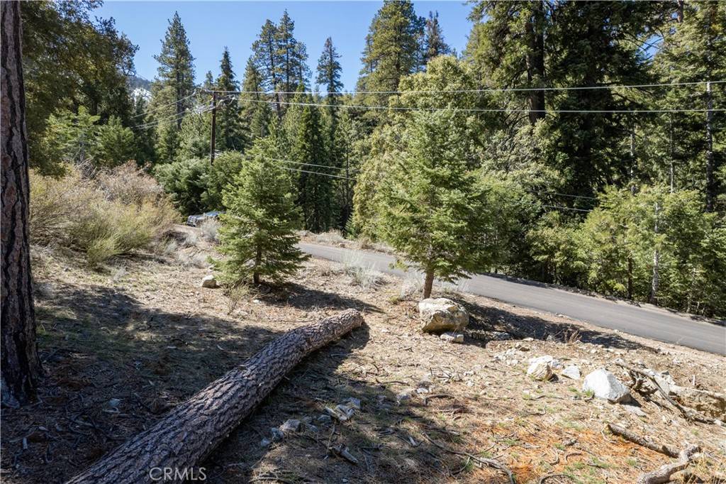 Pine Mountain Club, CA 93222,1300 Banff DR