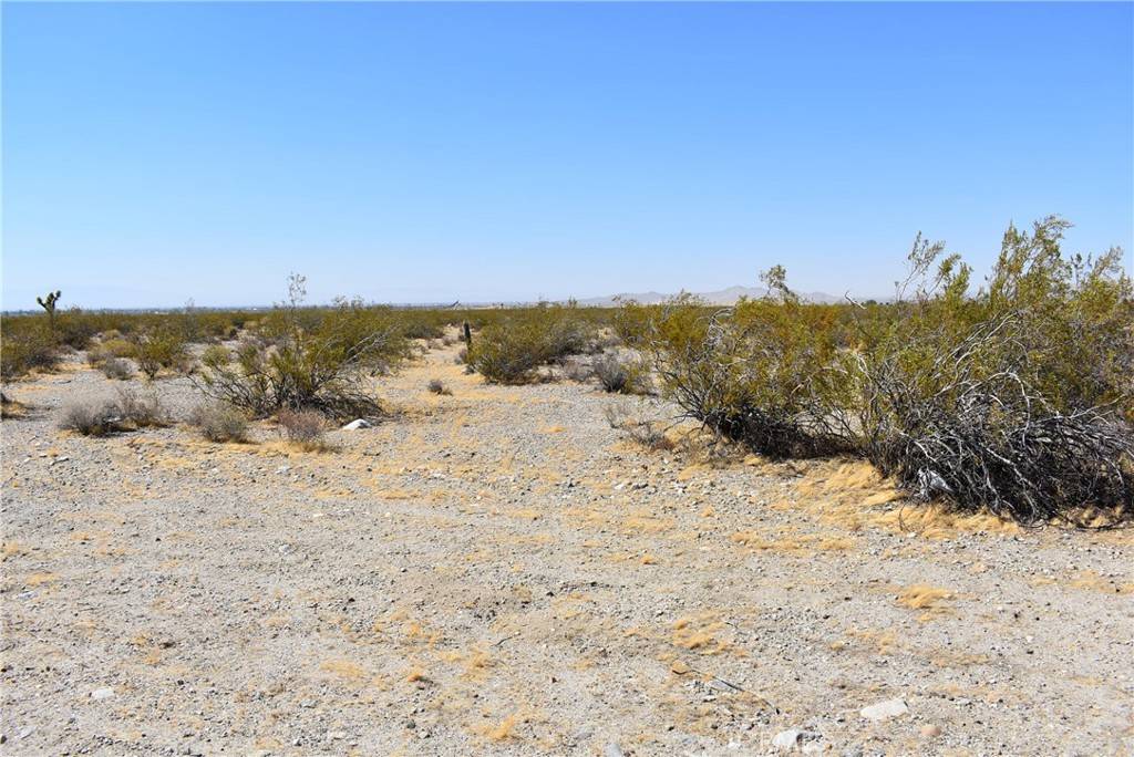 Pearblossom, CA 93553,13600 E Avenue U4