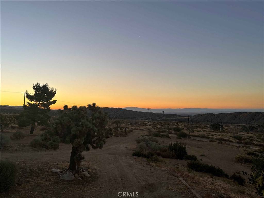 Pearblossom, CA 93553,28714 Cruthers Creek RD