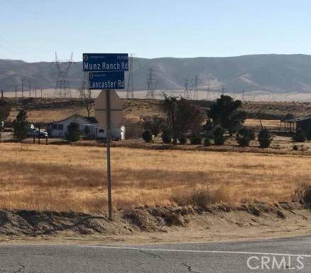Lancaster, CA 93536,45740 Munz Ranch RD