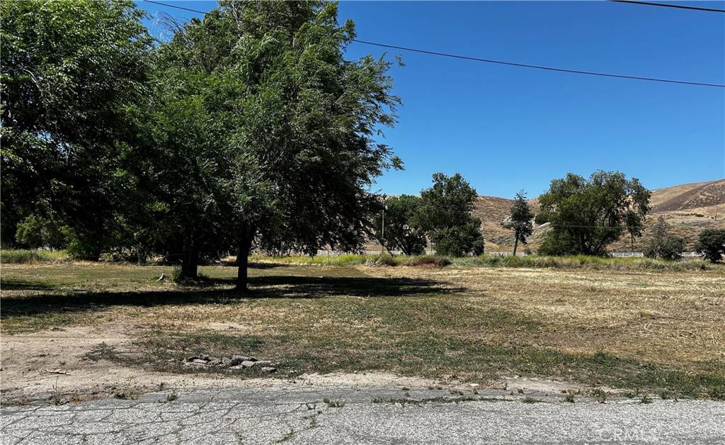 Lake Hughes, CA 93532,0 Ashtree Dr / 3225004005