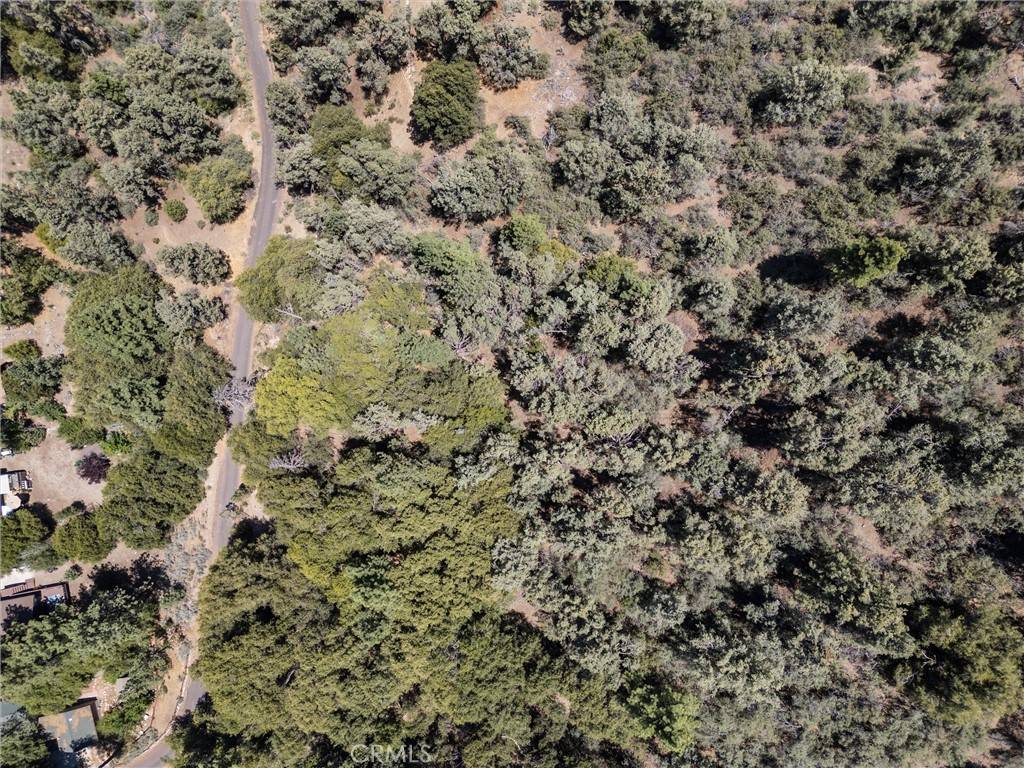 Pine Mountain Club, CA 93222,15712 Berne CT
