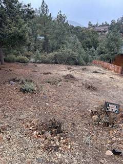 Pine Mountain Club, CA 93222,2029 Zermatt DR