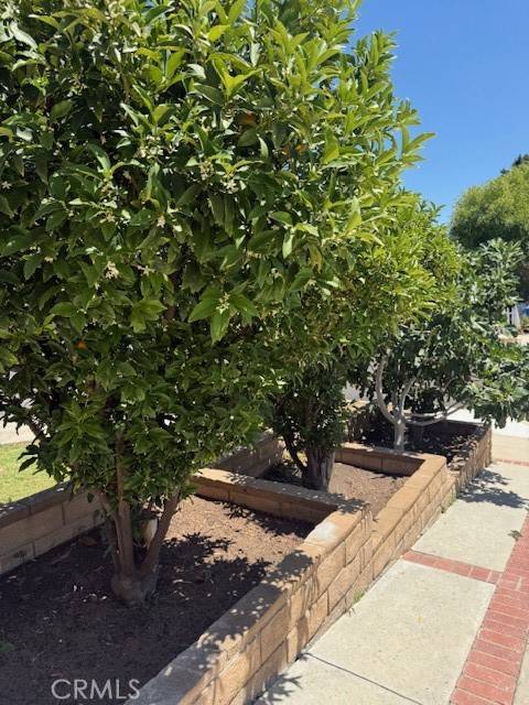 Northridge, CA 91343,16699 Itasca ST