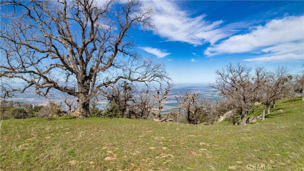 Tehachapi, CA 93561,26300 Hazelwood CT