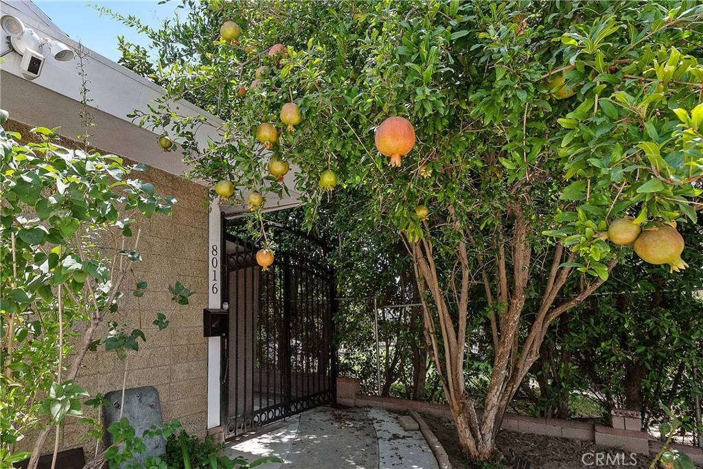 Panorama City, CA 91402,8016 Crosnoe AVE